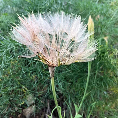 Marin Διαμέρισμα Ναρμπόν