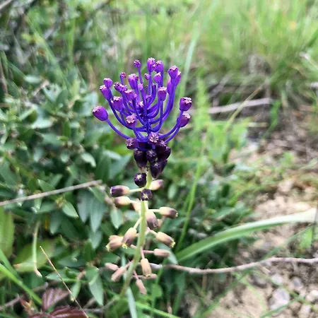 Marin Διαμέρισμα