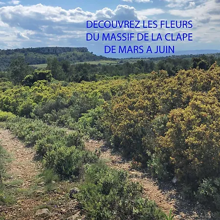 Marin * Ναρμπόν