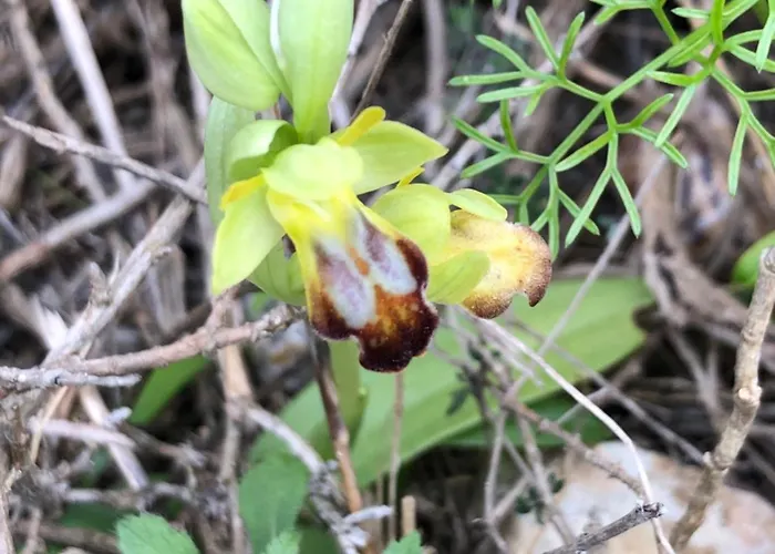 Διαμέρισμα Marin *