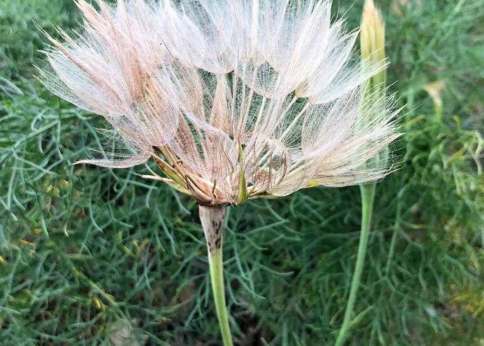 Marin Διαμέρισμα Ναρμπόν