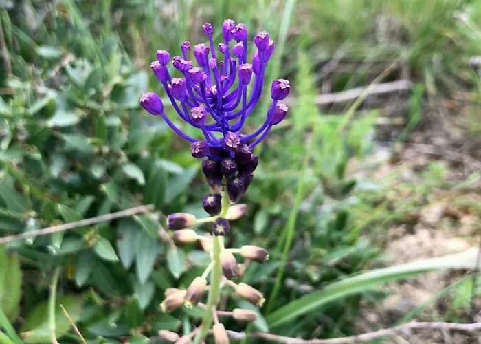 Marin Διαμέρισμα