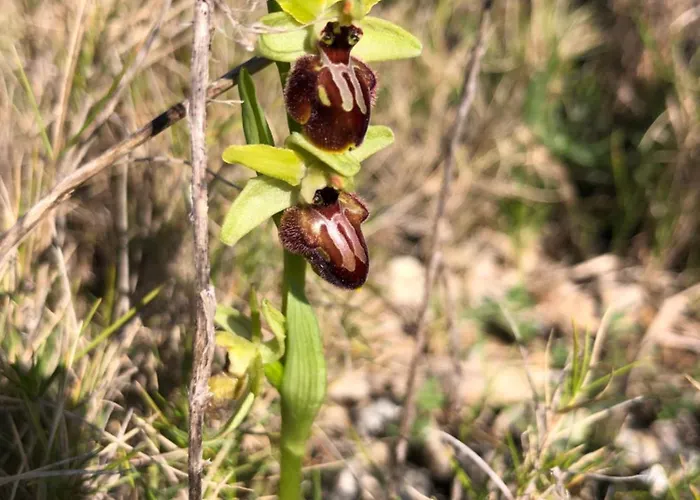 Διαμέρισμα Marin