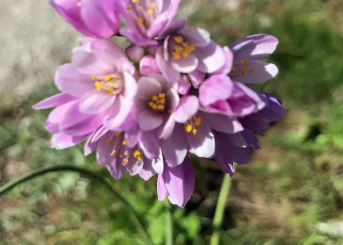 Marin Διαμέρισμα Ναρμπόν