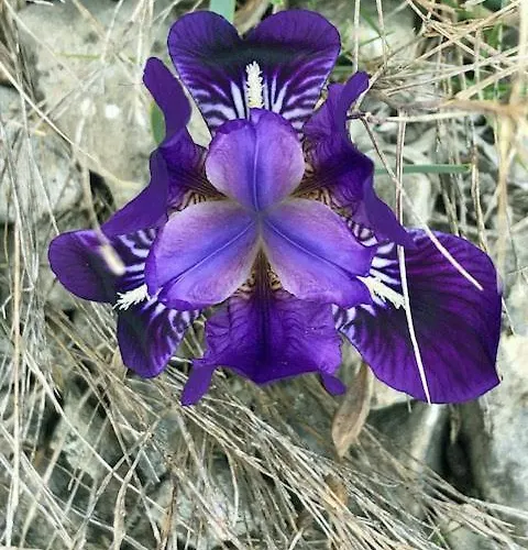 Διαμέρισμα Marin *