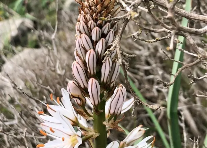 Marin * Ναρμπόν