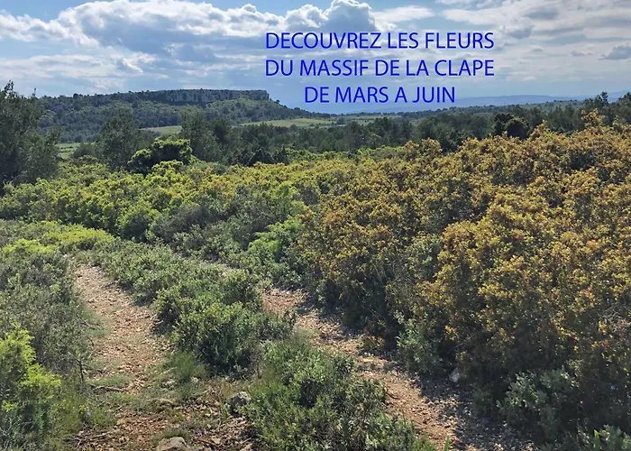 Marin * Ναρμπόν